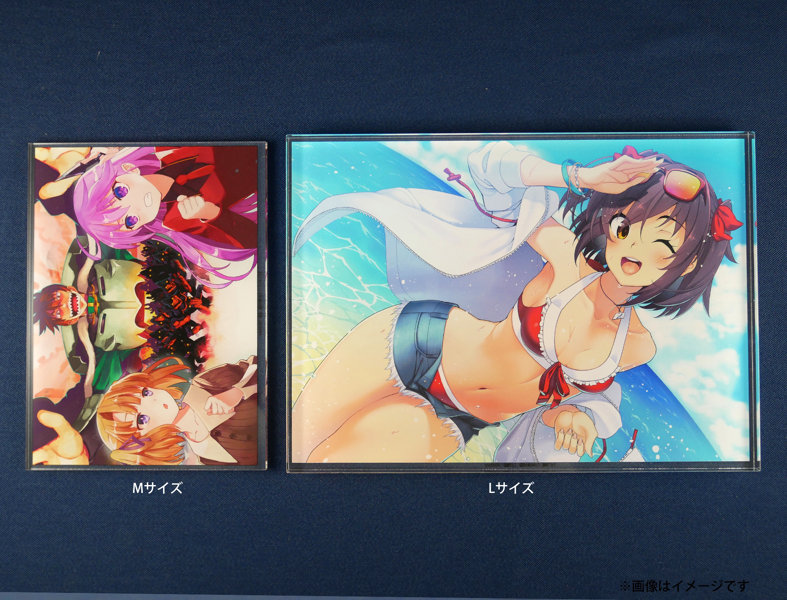 超昂大戦 09園崎アカリ アクリルプレートM 画像4