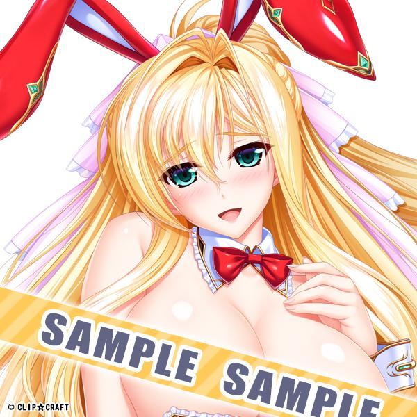 ユニオリヒロインズ・バニコレ〜抱く枕カバー・ユリナバニーver. 画像3