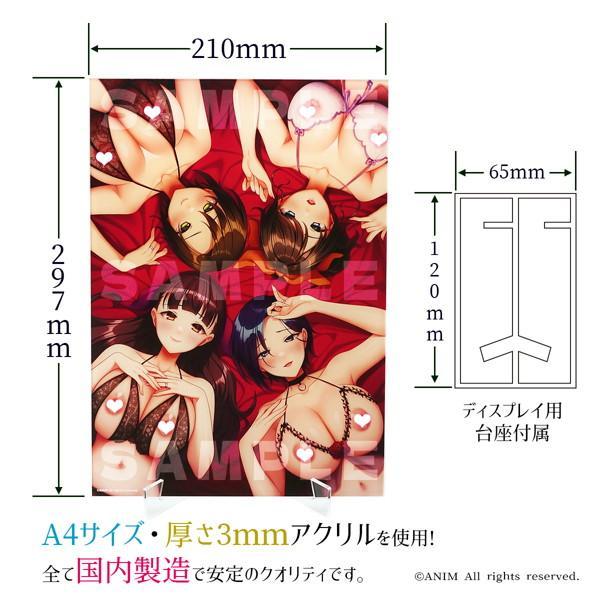 ANIM Selection Vol.1 WHY？！ 若妻が寝取られた？！A4アクリルパネル 画像1