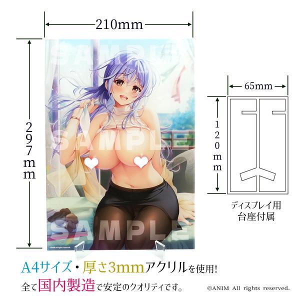 ANIM Selection Vol.2 いつまま人気6タイトル教えちゃう！！A4アクリルパネル 画像1