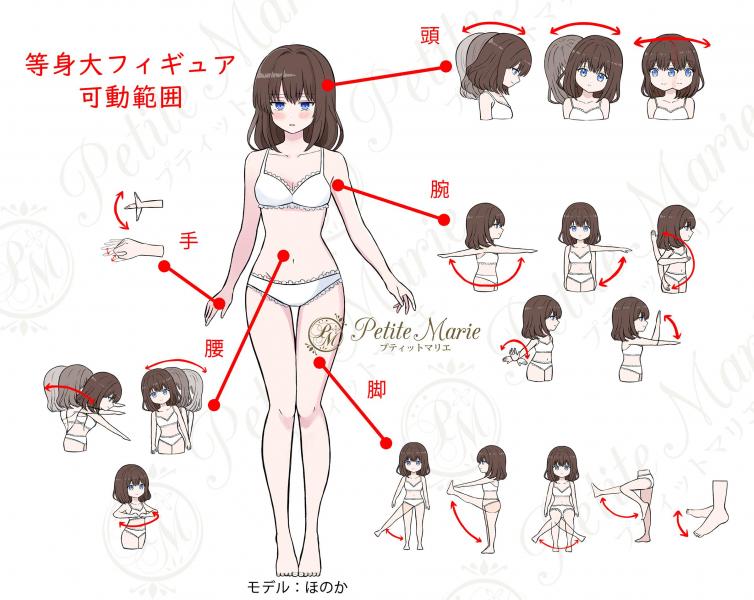 【Petite Marie Premium】 小悪魔的な美少女 ほのか 【スペシャルエディション】 （Aカップ） 等身大 可動フィギュア ドール 152cm 23kg フルシリコン製 米FDA認証素材使用【プティットマリエ】［No.0198］ 【受注生産品】※衣装は含まれていません 画像5
