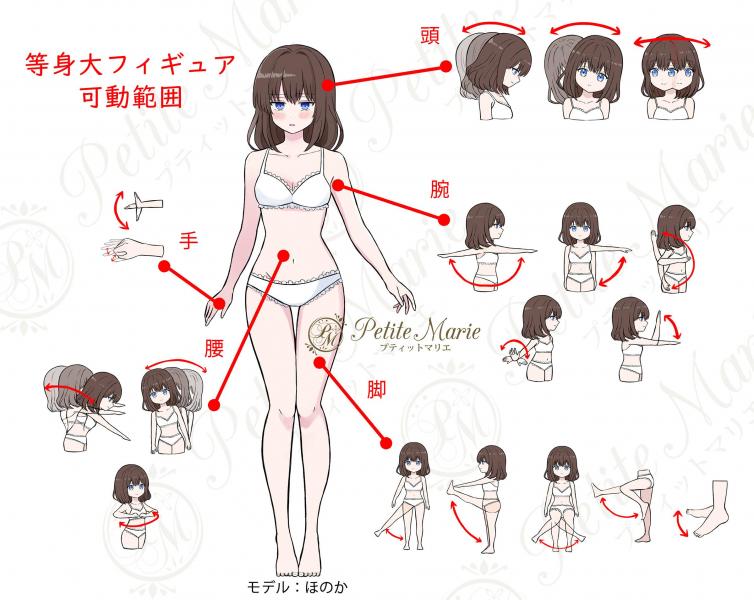 【Petite Marie Premium】彩羽(いろは)等身大 可動フィギュア ドール 122cm 17.2kg小柄で恥ずかしがり...