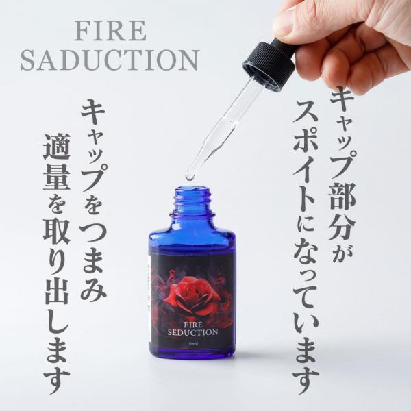 ファイヤーセダクション 画像3