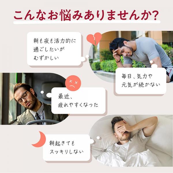 オムテック ガルシノールバイタルサプリメント 画像3