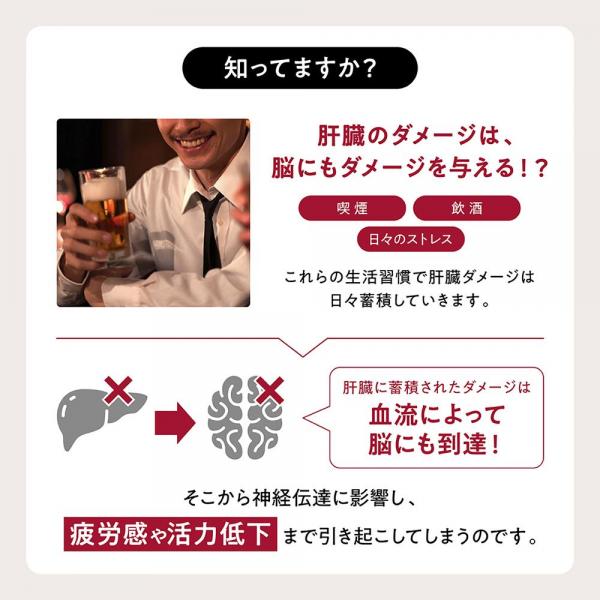 オムテック ガルシノールバイタルサプリメント 画像5