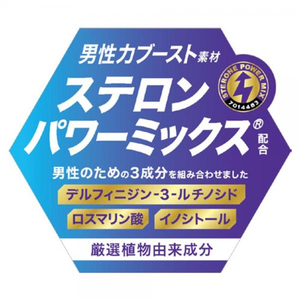 テスロン パワーブレイド 画像3