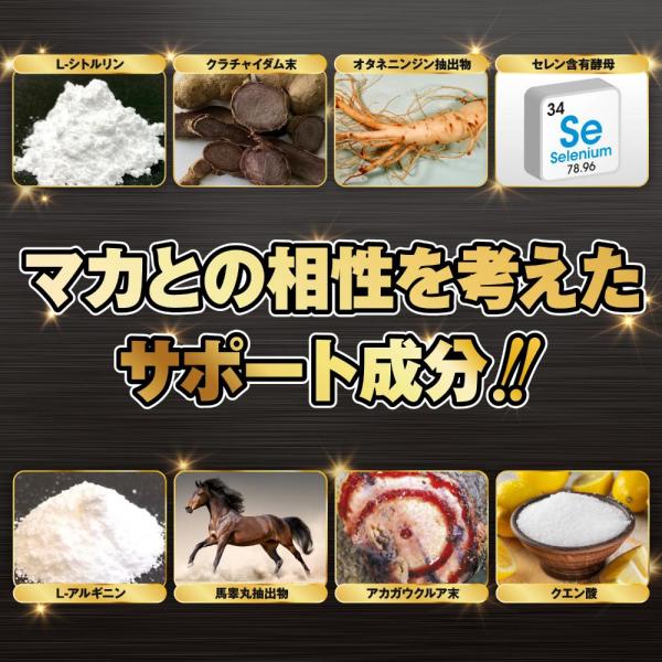 百戦錬磨 60倍濃縮マカ30日分（90粒） 画像4