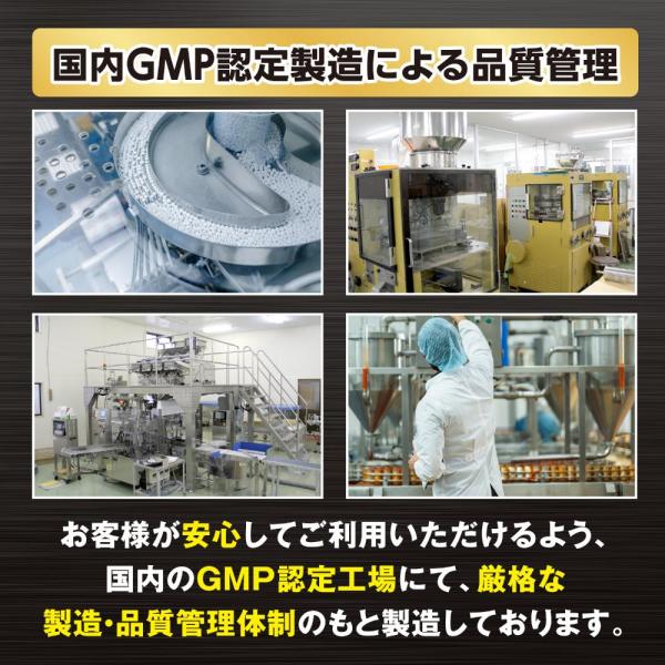 百戦錬磨 60倍濃縮マカ30日分（90粒） 画像5