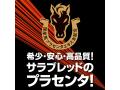 ストロングD 馬プラセンタ ハードカプセル お試し用5個綴り 画像4