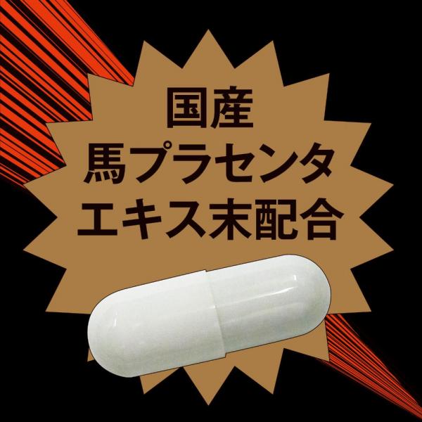 ストロングD 馬プラセンタ ハードカプセル お試し用5個綴り 画像1