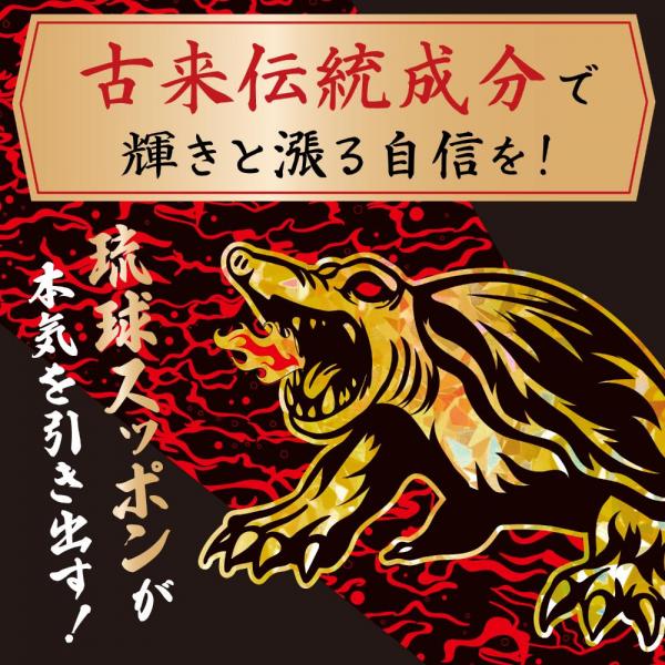 ストロングD スッポン ドリンク 極皇 連撃!! 画像2