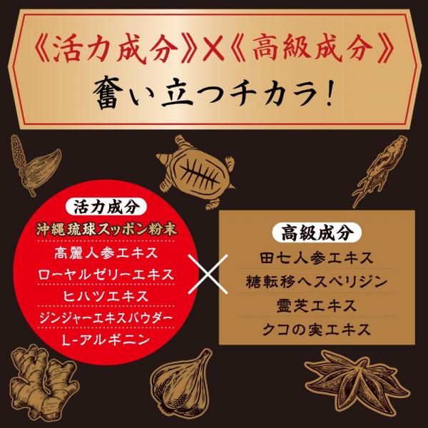 ストロングD スッポン ドリンク 極皇 連撃!! 画像3