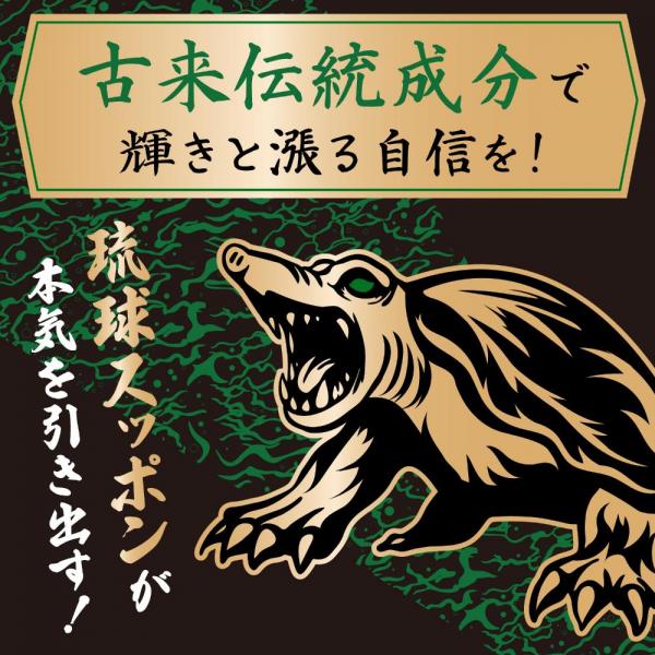 ストロングD スッポン ドリンク 漢皇 一撃! 画像2