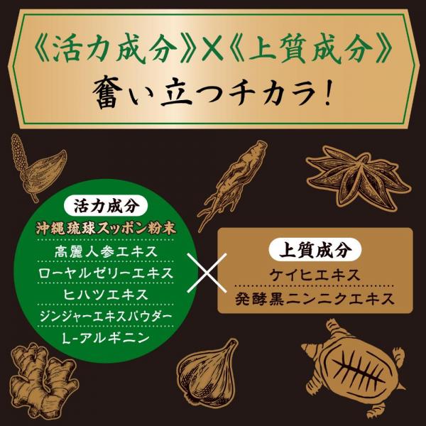 ストロングD スッポン ドリンク 漢皇 一撃! 画像3