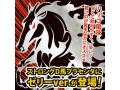 ストロングD 馬プラセンタ ゼリーお試し用10包綴り 画像3