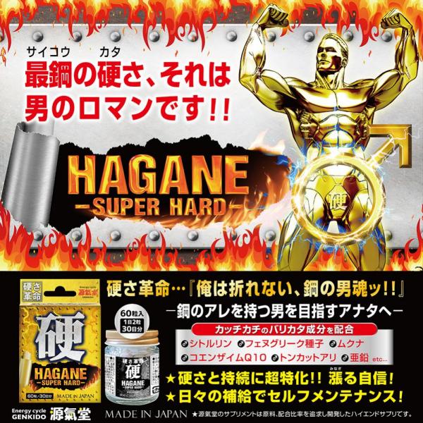 HAGANE-SUPER HARD- 画像3