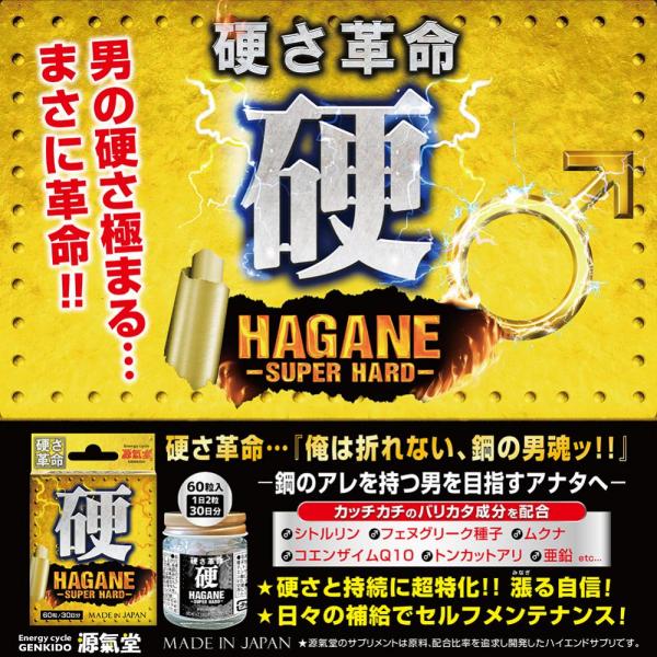 HAGANE-SUPER HARD- 画像4