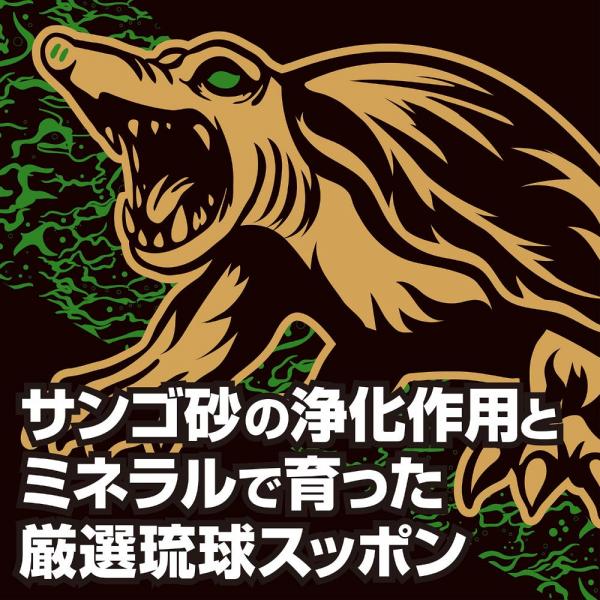 ストロングD スッポン ハードカプセル 5回分 画像2