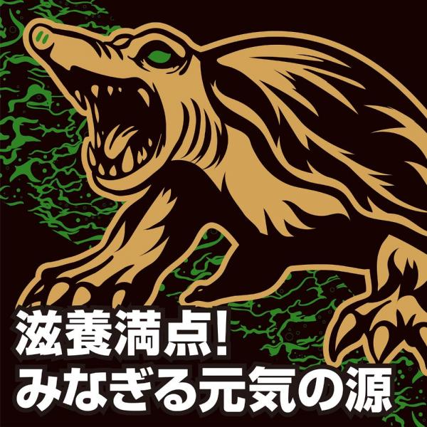 ストロングD スッポン ハードカプセル 5回分 画像3