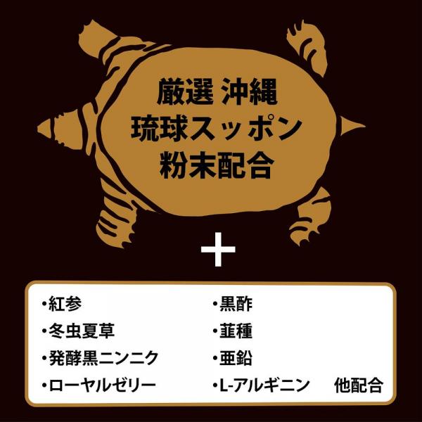 ストロングD スッポン ハードカプセル 5回分 画像5