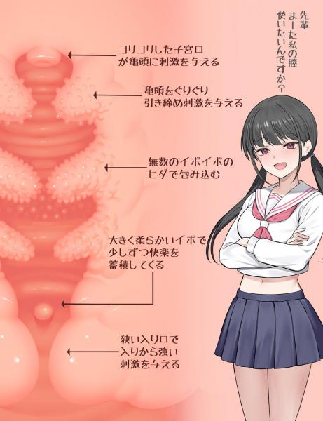 MOMONII 女子校生ルリちゃん 超絶の肉厚感 エラストマー オナホール 男性向け ラブグッズ 画像2