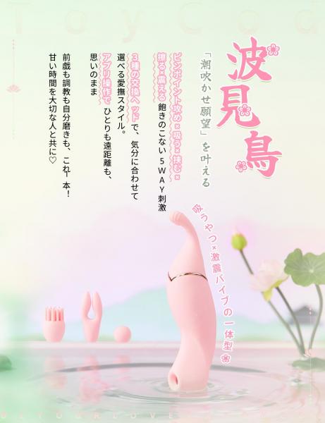 ToyCod 波見鳥 潮吹きバイブ ピンポイント×吸引×激震×遠隔 3種交換ヘッド ラブグッズ 画像2