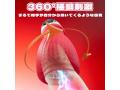 サンプル画像