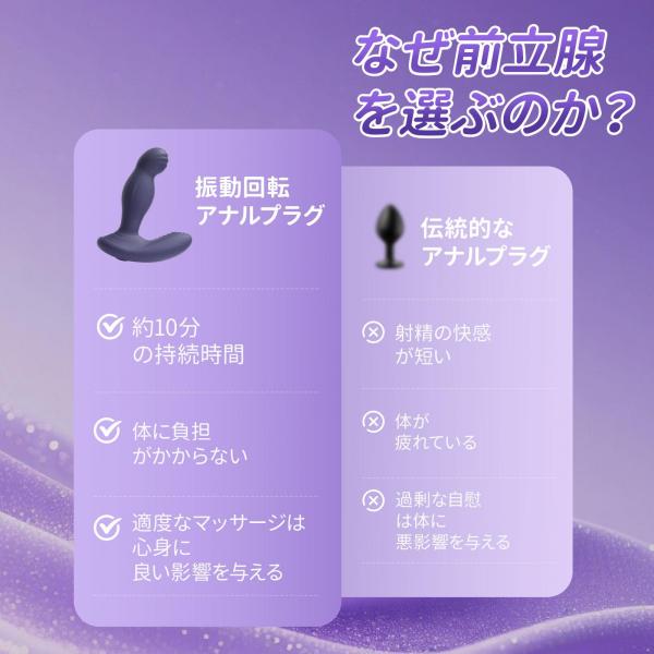 回転振動アナルプラグ 画像3