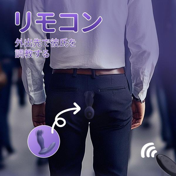 回転振動アナルプラグ 画像4