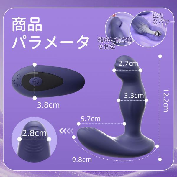 回転振動アナルプラグ 画像5