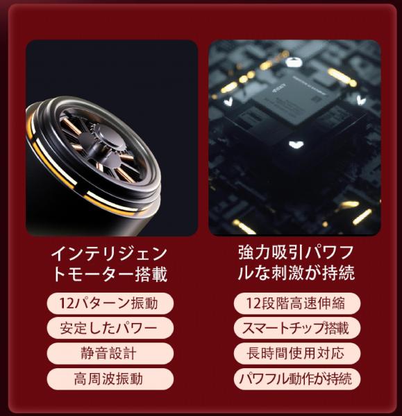 女性用 電動バイブ 吸引+振動 ダブル刺激 Gスポット Cポイント 強振動 12段階 静音 防水 USB充電 人気 アダルトグッズ 大人のおもちゃb219 画像2
