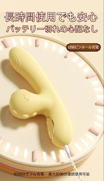 Gスポット振動バイブ アダルトグッズ 大人のおもちゃ 吸引機能 加熱機能搭載 10種振動モード 10段階強度調整 空気吸引 USB充電 静音 防水 シリコン 女性用マッサージャーb214 画像1