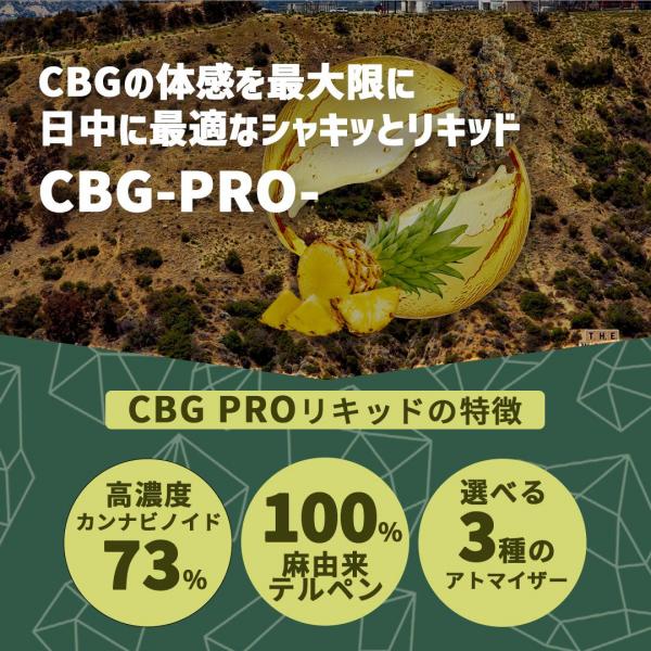 高濃度CBGリキッド CBG-PRO- (PineappleExpress : 1.0ml) 【KUSH JP】 画像3
