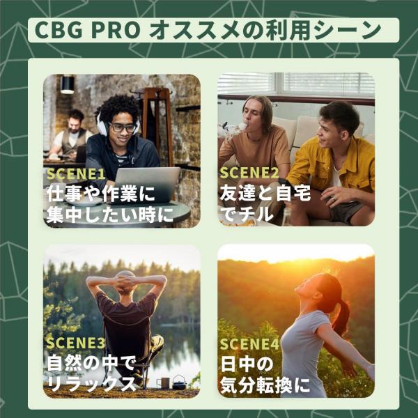 高濃度CBGリキッド CBG-PRO- (PineappleExpress : 1.0ml) 【KUSH JP】 画像5