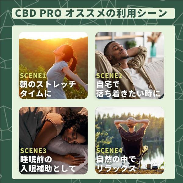 高濃度CBDリキッド CBD-PRO- (1.0ml : White Runtz) 【KUSH JP】 画像9