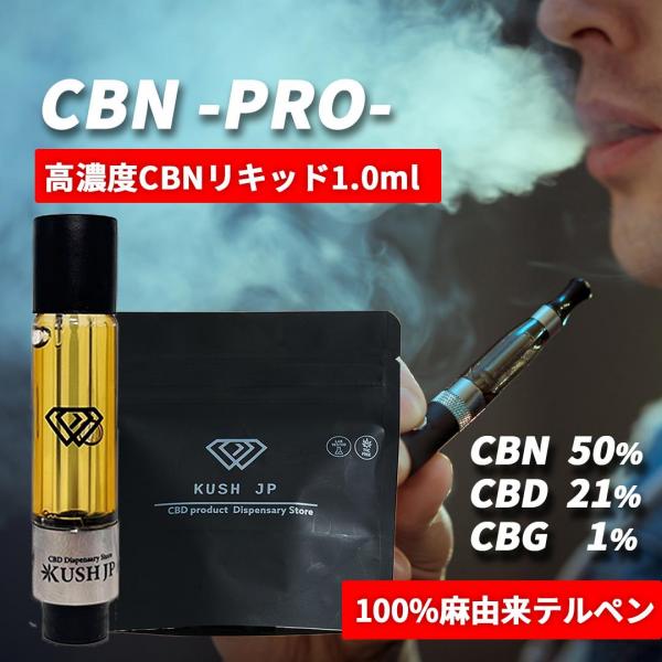高濃度CBNリキッド CBN-PRO- (1.0ml) 【KUSH JP】 画像1