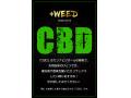 プラスウィード スターターキット CBD3％<ピーチシャンパン> 画像2