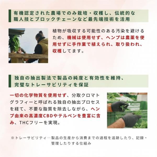 Hemply Balance プレミアムCBDオイル 超高濃度31% 3100mg 画像8