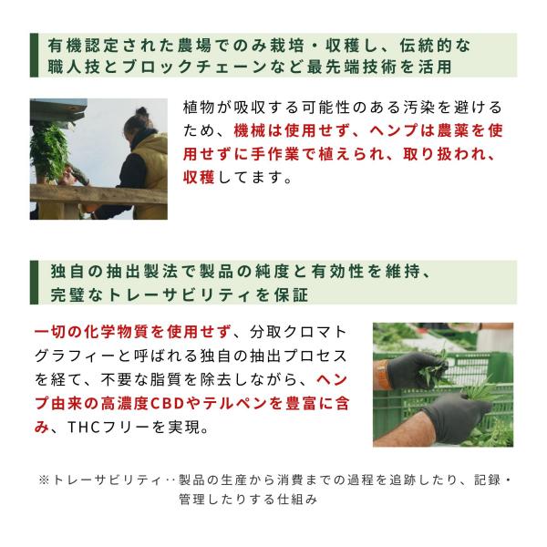 Hemply Balance CBDスキンバーム 600mg Not your avg. cream 画像7