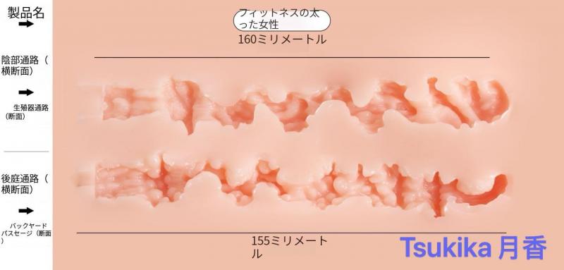 リアルな質感 TPE製 トルソードール 15.8kg ふっくら豊満ボリュームボディ 画像5