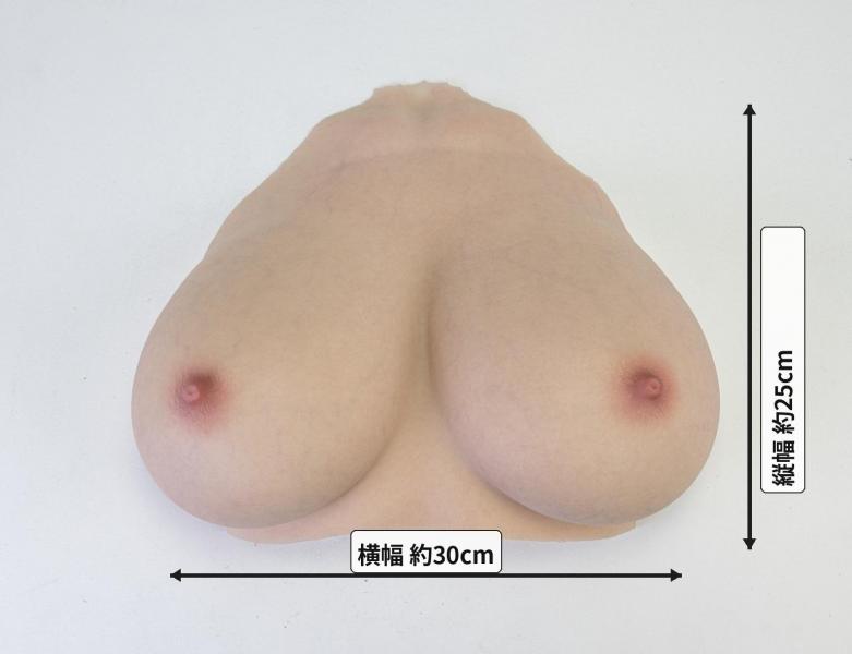 極乳シリコンバスト Gカップ級 〜至高のボリューム〜 画像1