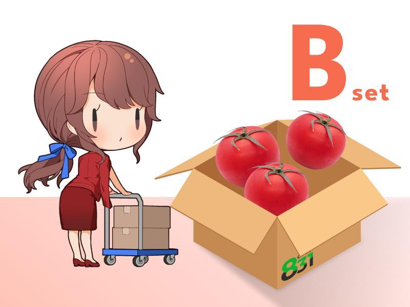 code:831 3rd B set【静】Box