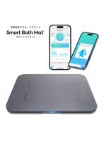 issin スマートバスマット 体組成計モデル グレー 体重管理珪藻土マット スマホ連動/体重管理/速乾 洗える ソフト珪藻土