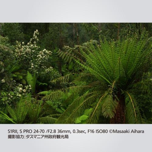 パナソニック Panasonic LUMIX S1RII ボディ ミラーレス一眼カメラ DC-S1RM2 パナソニック Panasonic LUMIX S1RII ボディ ミラーレス一眼カメラ DC-S1RM2