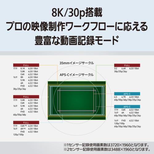 パナソニック Panasonic LUMIX S1RII ボディ ミラーレス一眼カメラ DC-S1RM2 パナソニック Panasonic LUMIX S1RII ボディ ミラーレス一眼カメラ DC-S1RM2