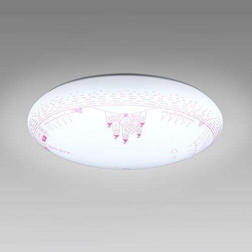 ホタルクス HotaluX HLDZ08324SG LEDシーリングライト 調光タイプ 昼光色 ～8畳 リモコン付