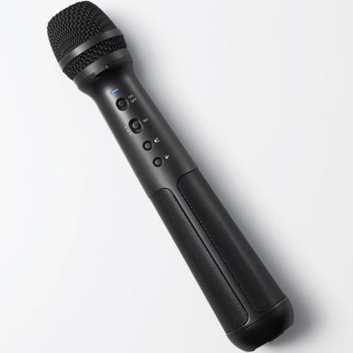 キングジム KING JIM SPMC10 スピーカー付きマイク マイク型拡声器