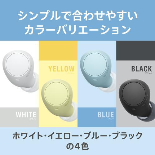 ソニー SONY WF-C510-L(ブルー) 完全ワイヤレスイヤホン Bluetooth5.3 外音取込機能 ソニー SONY WF-C510-L(ブルー) 完全ワイヤレスイヤホン Bluetooth5.3 外音取込機能