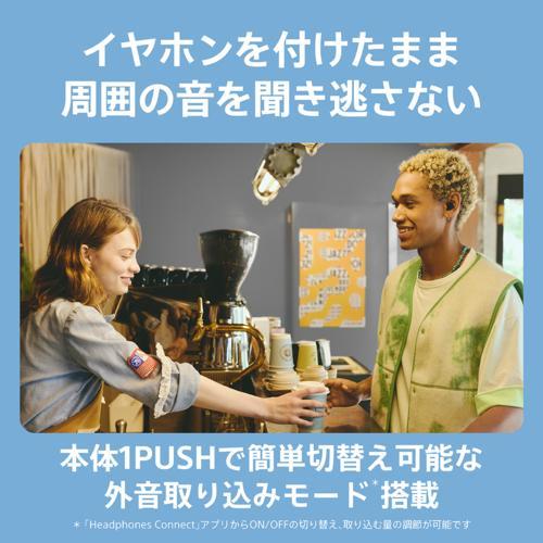 ソニー SONY WF-C510-L(ブルー) 完全ワイヤレスイヤホン Bluetooth5.3 外音取込機能 ソニー SONY WF-C510-L(ブルー) 完全ワイヤレスイヤホン Bluetooth5.3 外音取込機能