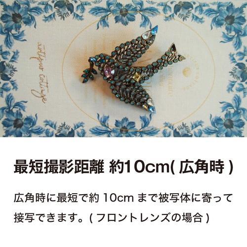 ケンコー Kenko KC-ZM08 光学5倍ズームコンパクトデジタルカメ